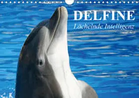 Stanzer | Delfine - Lächelnde Intelligenz (Wandkalender 2020 DIN A4 quer) | Sonstiges | 978-3-670-50782-6 | www.sack.de