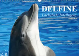 Stanzer |  Delfine - Lächelnde Intelligenz (Wandkalender 2020 DIN A3 quer) | Sonstiges |  Sack Fachmedien