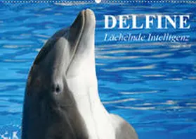Stanzer | Delfine - Lächelnde Intelligenz (Wandkalender 2020 DIN A2 quer) | Sonstiges | 978-3-670-50784-0 | www.sack.de