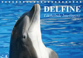 Stanzer | Delfine - Lächelnde Intelligenz (Tischkalender 2020 DIN A5 quer) | Sonstiges | 978-3-670-50785-7 | www.sack.de