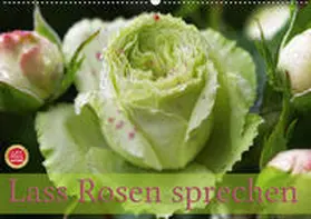 Cross | Lass Rosen sprechen (Wandkalender 2020 DIN A2 quer) | Sonstiges | 978-3-670-51185-4 | www.sack.de