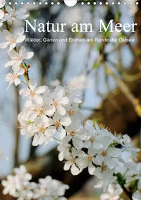 Schneekloth |  Natur am Meer - Wälder, Gärten und Blumen am Rande der Ostsee (Wandkalender 2020 DIN A4 hoch) | Sonstiges |  Sack Fachmedien