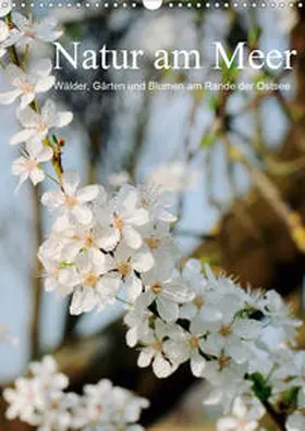 Schneekloth |  Natur am Meer - Wälder, Gärten und Blumen am Rande der Ostsee (Wandkalender 2020 DIN A3 hoch) | Sonstiges |  Sack Fachmedien