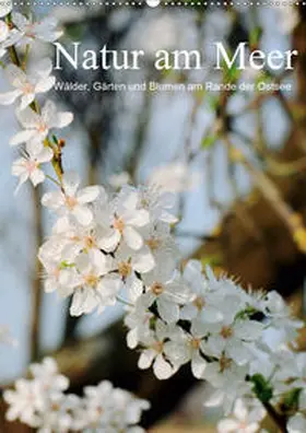 Schneekloth |  Natur am Meer - Wälder, Gärten und Blumen am Rande der Ostsee (Wandkalender 2020 DIN A2 hoch) | Sonstiges |  Sack Fachmedien