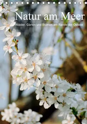 Schneekloth |  Natur am Meer - Wälder, Gärten und Blumen am Rande der Ostsee (Tischkalender 2020 DIN A5 hoch) | Sonstiges |  Sack Fachmedien