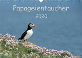 Leimer |  Papageientaucher 2020CH-Version  (Wandkalender 2020 DIN A3 quer) | Sonstiges |  Sack Fachmedien