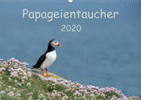 Leimer |  Papageientaucher 2020CH-Version  (Wandkalender 2020 DIN A2 quer) | Sonstiges |  Sack Fachmedien