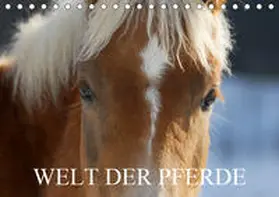 Starick |  Welt der Pferde (Tischkalender 2020 DIN A5 quer) | Sonstiges |  Sack Fachmedien