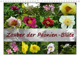 Reiter |  Zauber der Päonien-Blüte (Wandkalender 2020 DIN A4 quer) | Sonstiges |  Sack Fachmedien