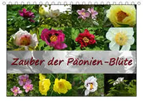 Reiter |  Zauber der Päonien-Blüte (Tischkalender 2020 DIN A5 quer) | Sonstiges |  Sack Fachmedien