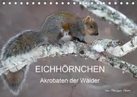 Henry |  EICHHÖRNCHEN (Tischkalender 2020 DIN A5 quer) | Sonstiges |  Sack Fachmedien