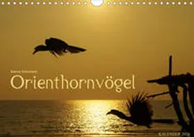 Schumann | Orienthornvögel (Wandkalender 2020 DIN A4 quer) | Sonstiges | 978-3-670-52356-7 | www.sack.de