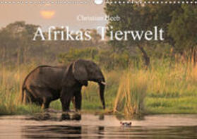 Heeb |  Afrikas Tierwelt Christian Heeb (Wandkalender 2020 DIN A3 quer) | Sonstiges |  Sack Fachmedien