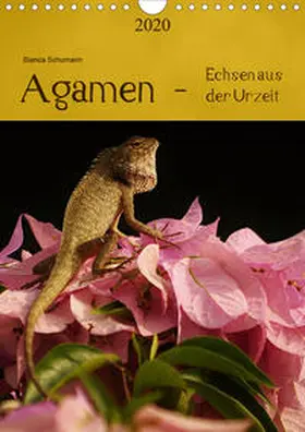 Schumann | Agamen - Echsen aus der Urzeit (Wandkalender 2020 DIN A4 hoch) | Sonstiges | 978-3-670-52394-9 | www.sack.de