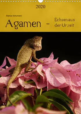 Schumann | Agamen - Echsen aus der Urzeit (Wandkalender 2020 DIN A3 hoch) | Sonstiges | 978-3-670-52395-6 | www.sack.de