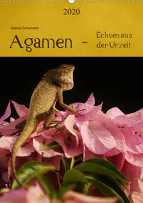 Schumann | Agamen - Echsen aus der Urzeit (Wandkalender 2020 DIN A2 hoch) | Sonstiges | 978-3-670-52396-3 | www.sack.de