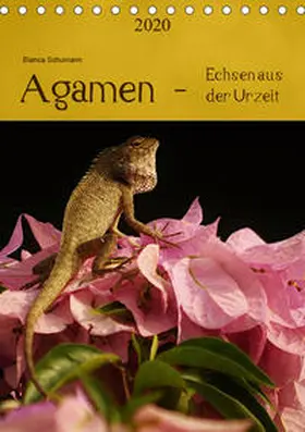 Schumann | Agamen - Echsen aus der Urzeit (Tischkalender 2020 DIN A5 hoch) | Sonstiges | 978-3-670-52397-0 | www.sack.de
