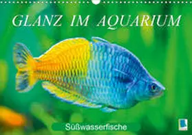 Calvendo / CALVENDO |  Glanz im Aquarium: Süßwasserfische (Wandkalender 2020 DIN A3 quer) | Sonstiges |  Sack Fachmedien