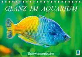 Calvendo / CALVENDO |  Glanz im Aquarium: Süßwasserfische (Tischkalender 2020 DIN A5 quer) | Sonstiges |  Sack Fachmedien