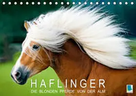 Calvendo / CALVENDO |  Haflinger: Die blonden Pferde von der Alm (Tischkalender 2020 DIN A5 quer) | Sonstiges |  Sack Fachmedien