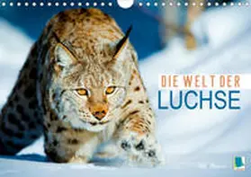 Calvendo / CALVENDO |  Die Welt der Luchse (Wandkalender 2020 DIN A4 quer) | Sonstiges |  Sack Fachmedien