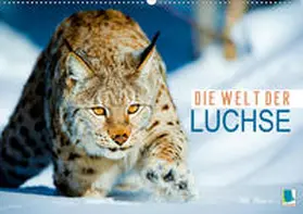Calvendo / CALVENDO |  Die Welt der Luchse (Wandkalender 2020 DIN A2 quer) | Sonstiges |  Sack Fachmedien