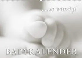 W. Lambrecht | ...so winzig - Babykalender (Wandkalender 2020 DIN A2 quer) | Sonstiges | 978-3-670-52591-2 | www.sack.de