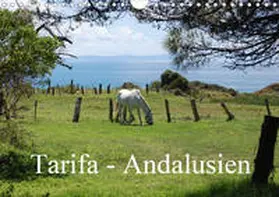Peitz |  Tarifa - Andalusien (Wandkalender 2020 DIN A4 quer) | Sonstiges |  Sack Fachmedien