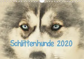 Redecker |  Schlittenhunde 2020 (Wandkalender 2020 DIN A4 quer) | Sonstiges |  Sack Fachmedien