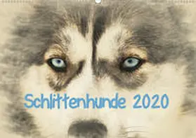 Redecker |  Schlittenhunde 2020 (Wandkalender 2020 DIN A2 quer) | Sonstiges |  Sack Fachmedien