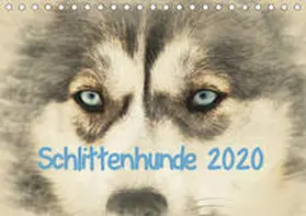 Redecker |  Schlittenhunde 2020 (Tischkalender 2020 DIN A5 quer) | Sonstiges |  Sack Fachmedien