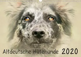 Redecker |  Altdeutsche Hütehunde 2020 (Wandkalender 2020 DIN A3 quer) | Sonstiges |  Sack Fachmedien
