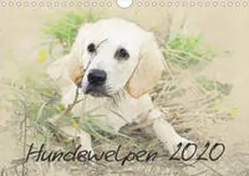 Redecker |  Hundewelpen 2020 (Wandkalender 2020 DIN A4 quer) | Sonstiges |  Sack Fachmedien