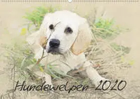 Redecker |  Hundewelpen 2020 (Wandkalender 2020 DIN A2 quer) | Sonstiges |  Sack Fachmedien