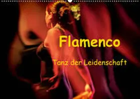 Dürr Gabi Hampe |  Flamenco - Tanz der Leidenschaft (Wandkalender 2020 DIN A2 quer) | Sonstiges |  Sack Fachmedien