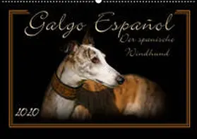 Redecker |  Galgo Español 2020- Der spanische Windhund (Wandkalender 2020 DIN A2 quer) | Sonstiges |  Sack Fachmedien