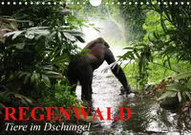 Stanzer | Regenwald . Tiere im Dschungel (Wandkalender 2020 DIN A4 quer) | Sonstiges | 978-3-670-53583-6 | www.sack.de