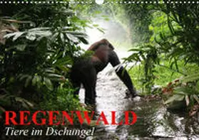 Stanzer |  Regenwald . Tiere im Dschungel (Wandkalender 2020 DIN A3 quer) | Sonstiges |  Sack Fachmedien