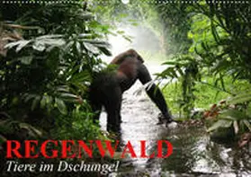 Stanzer | Regenwald . Tiere im Dschungel (Wandkalender 2020 DIN A2 quer) | Sonstiges | 978-3-670-53585-0 | www.sack.de
