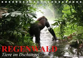 Stanzer | Regenwald . Tiere im Dschungel (Tischkalender 2020 DIN A5 quer) | Sonstiges | 978-3-670-53586-7 | www.sack.de