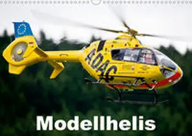 Selig |  Modellhelis (Wandkalender 2020 DIN A3 quer) | Sonstiges |  Sack Fachmedien