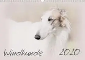 Redecker |  Windhunde 2020 (Wandkalender 2020 DIN A3 quer) | Sonstiges |  Sack Fachmedien