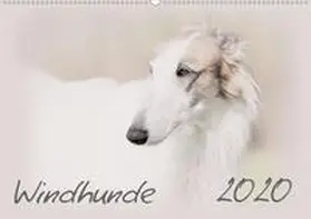 Redecker |  Windhunde 2020 (Wandkalender 2020 DIN A2 quer) | Sonstiges |  Sack Fachmedien