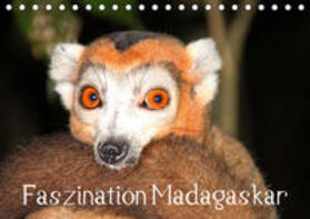 Raab | Faszination Madagaskar (Tischkalender 2020 DIN A5 quer) | Sonstiges | 978-3-670-53727-4 | sack.de