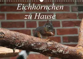 Peitz |  Eichhörnchen zu Hause (Wandkalender 2020 DIN A3 quer) | Sonstiges |  Sack Fachmedien