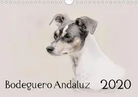 Redecker |  Bodeguero Andaluz 2020 (Wandkalender 2020 DIN A4 quer) | Sonstiges |  Sack Fachmedien