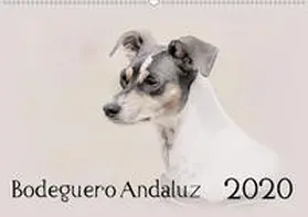 Redecker |  Bodeguero Andaluz 2020 (Wandkalender 2020 DIN A2 quer) | Sonstiges |  Sack Fachmedien