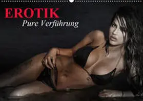 Stanzer |  Erotik - Pure Verführung (Wandkalender 2020 DIN A2 quer) | Sonstiges |  Sack Fachmedien
