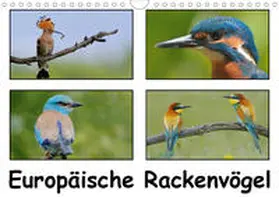 Wolf | Europäische Rackenvögel (Wandkalender 2020 DIN A4 quer) | Sonstiges | 978-3-670-53972-8 | www.sack.de