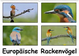 Wolf | Europäische Rackenvögel (Wandkalender 2020 DIN A2 quer) | Sonstiges | 978-3-670-53974-2 | www.sack.de